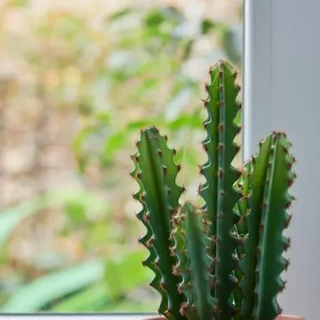 Διαμέρισμα Charming Duplex With Private Terrace And Parking